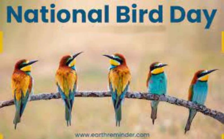 The National Day for our Winged Friends