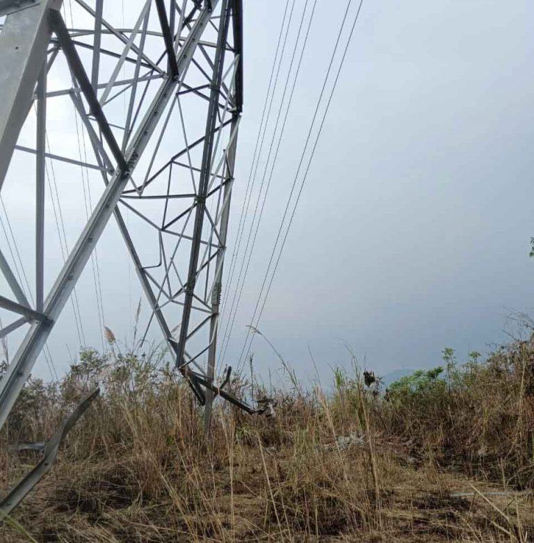 Miscreants attempt to damage power grid