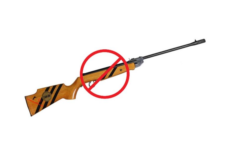 Air-guns banned in Noney till November end