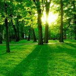 World Sustainability Day: For a Green Planet