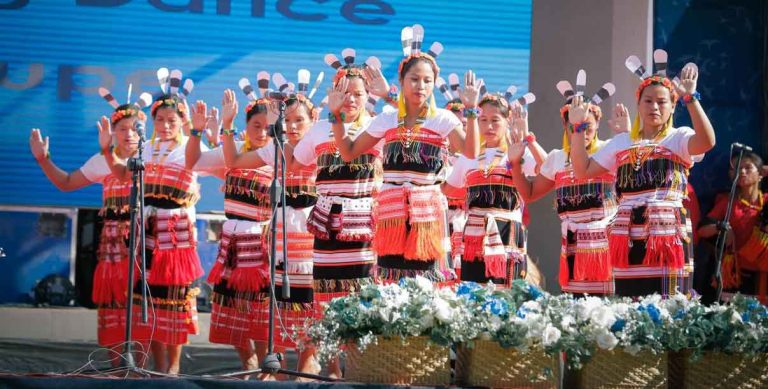 Amur Falcon festival celebrated in Manipur’s Tamenglong