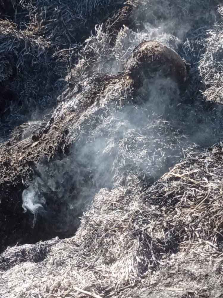 Charred body found in burnt hay heap