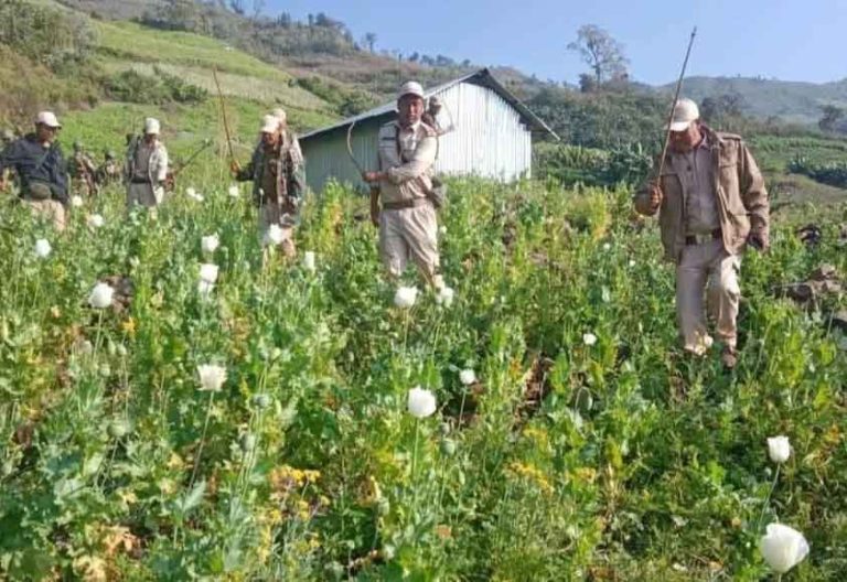 Two Kuki poppy cultivators arrested in Manipur