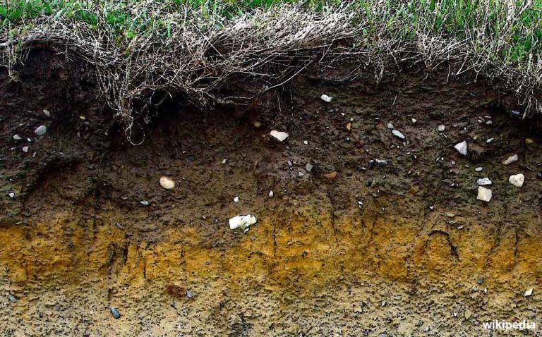 Soil: Earth’s Skin is Key for Environmental Health