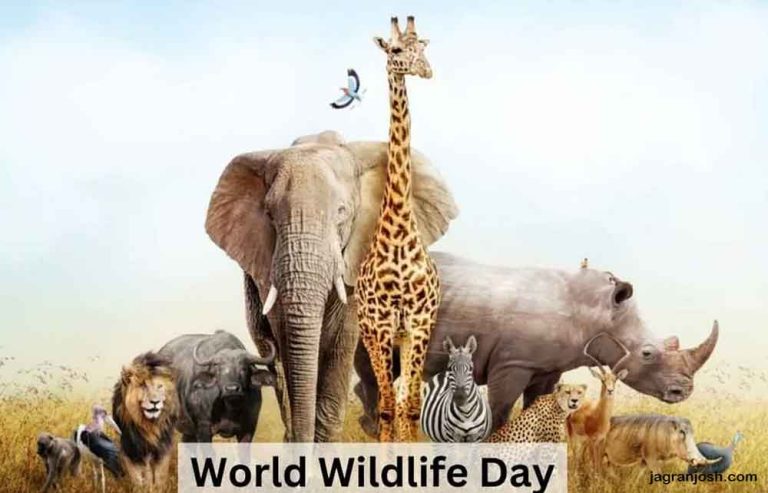 World Wildlife Day is for Thriving the Planet